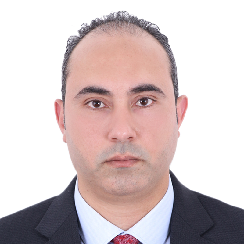ayman al sayyed hademah